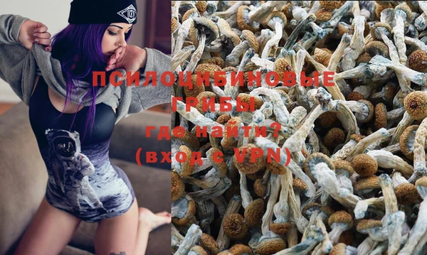 гашиш Бородино