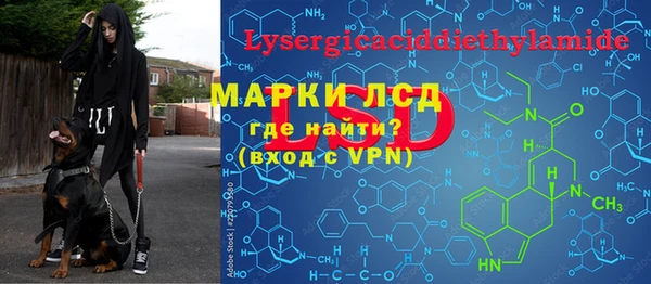 spice Бугульма