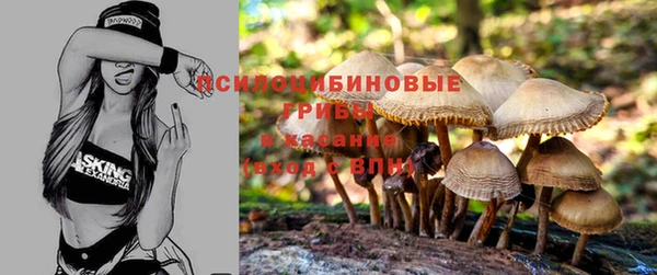 каннабис Бронницы