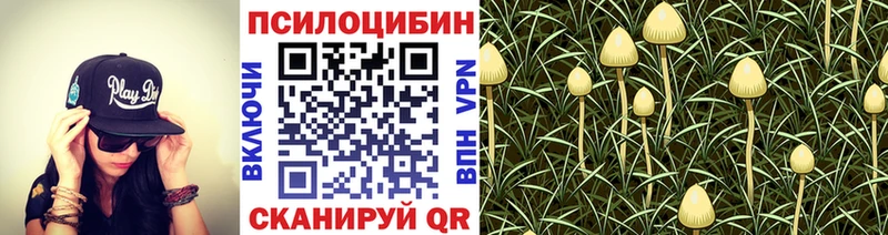 Псилоцибиновые грибы Cubensis  Лысьва 